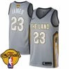 Fan Gear Nation Men's Cleveland Cavaliers LeBron James Swingman Gray 2018 NBA Finals Bound NBA Jersey - City Edition