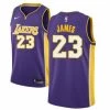 Fan Gear Nation Men's Los Angeles Lakers LeBron James Jersey Statement Edition Purple