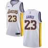 Fan Gear Nation Men's Los Angeles Lakers LeBron James Jersey Association Edition White