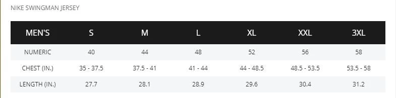 Fan Gear Nation Men's Cleveland Cavaliers LeBron James Swingman Gray 2018 NBA Finals Bound NBA Jersey - City Edition 4 Fan Gear Nation Men's Cleveland Cavaliers LeBron James Swingman Gray 2018 NBA Finals Bound NBA Jersey - City Edition